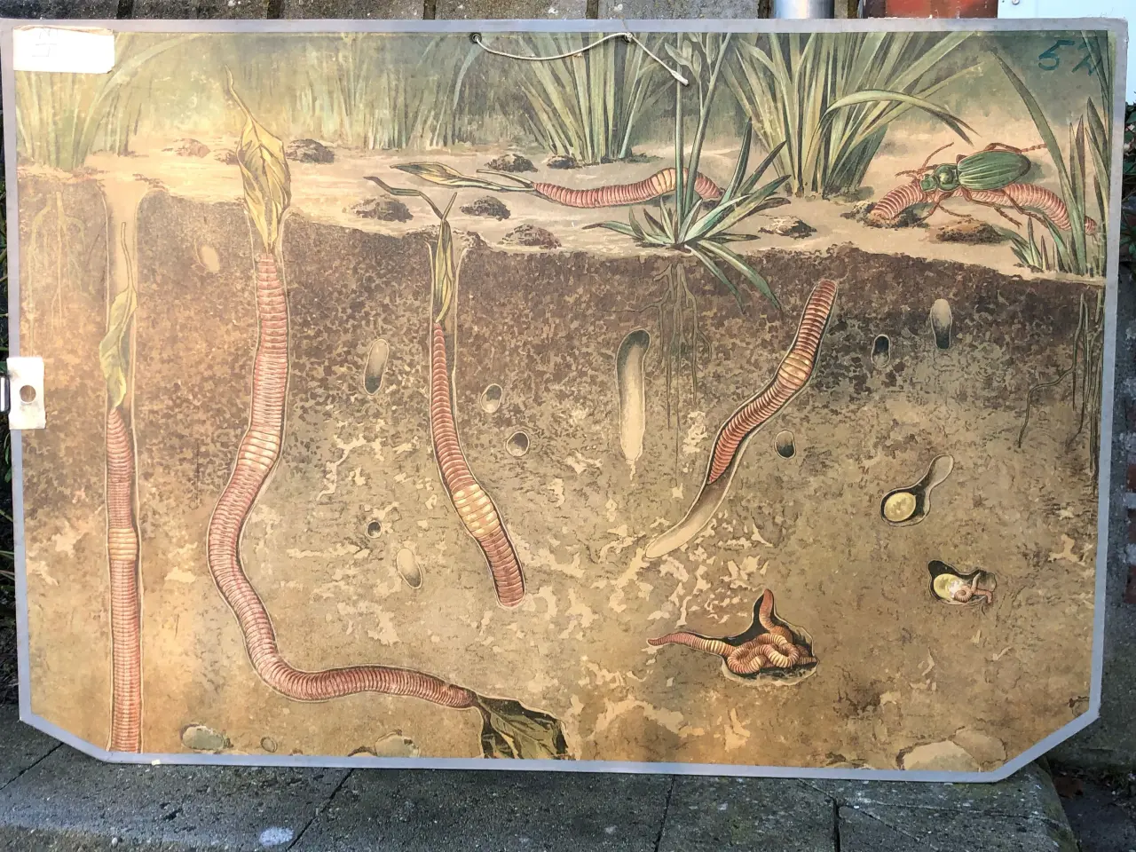 Billede 6 - skoleplakater