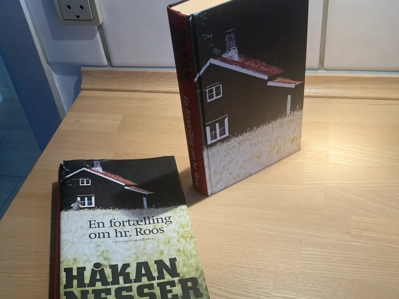 Billede 4 - En fortælling om hr. Roos. Roman af Håkan Nesser