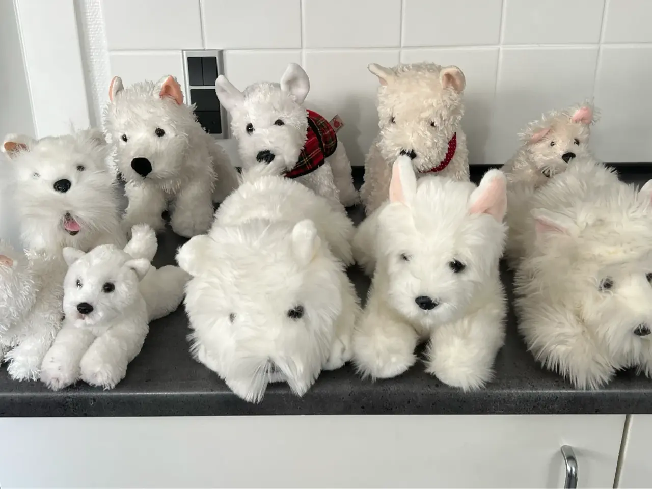 Billede 3 - Div. West Highland Terrier tøjdyr