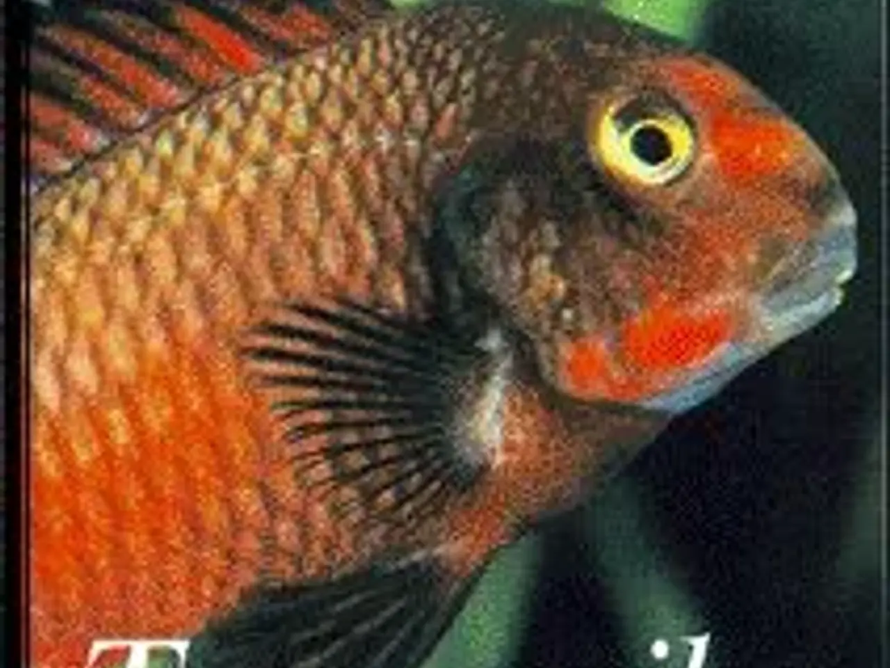Billede 1 - Akvariebøger: Back to Nature m.fl.