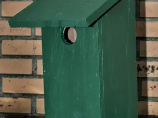 Fuglekasser