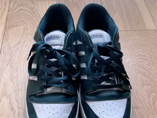 Adidas Shoe. Outstanding condition. Size 10 / 44 G