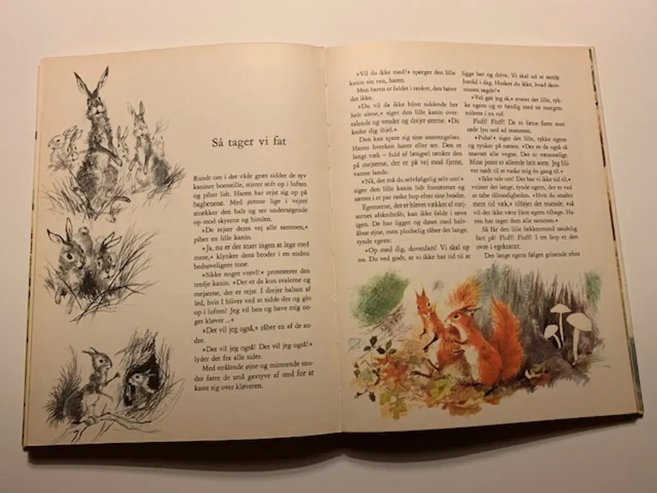 Billede 2 - Haren og den lille kanin på eventyr - illustreret