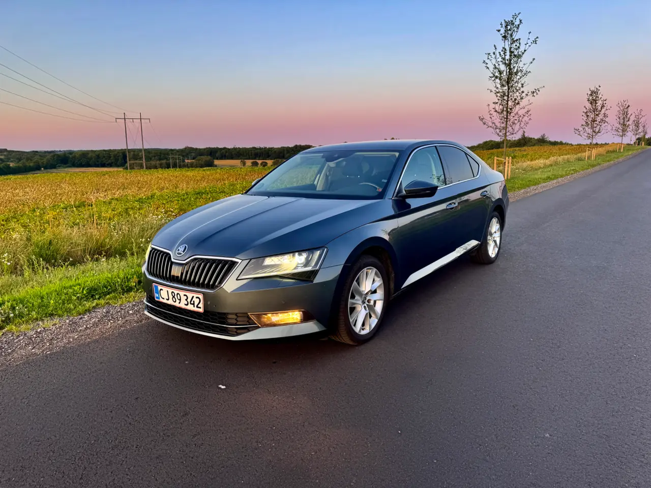 Billede 1 - Skoda Superb 1,6 TDi 120 Style DSG