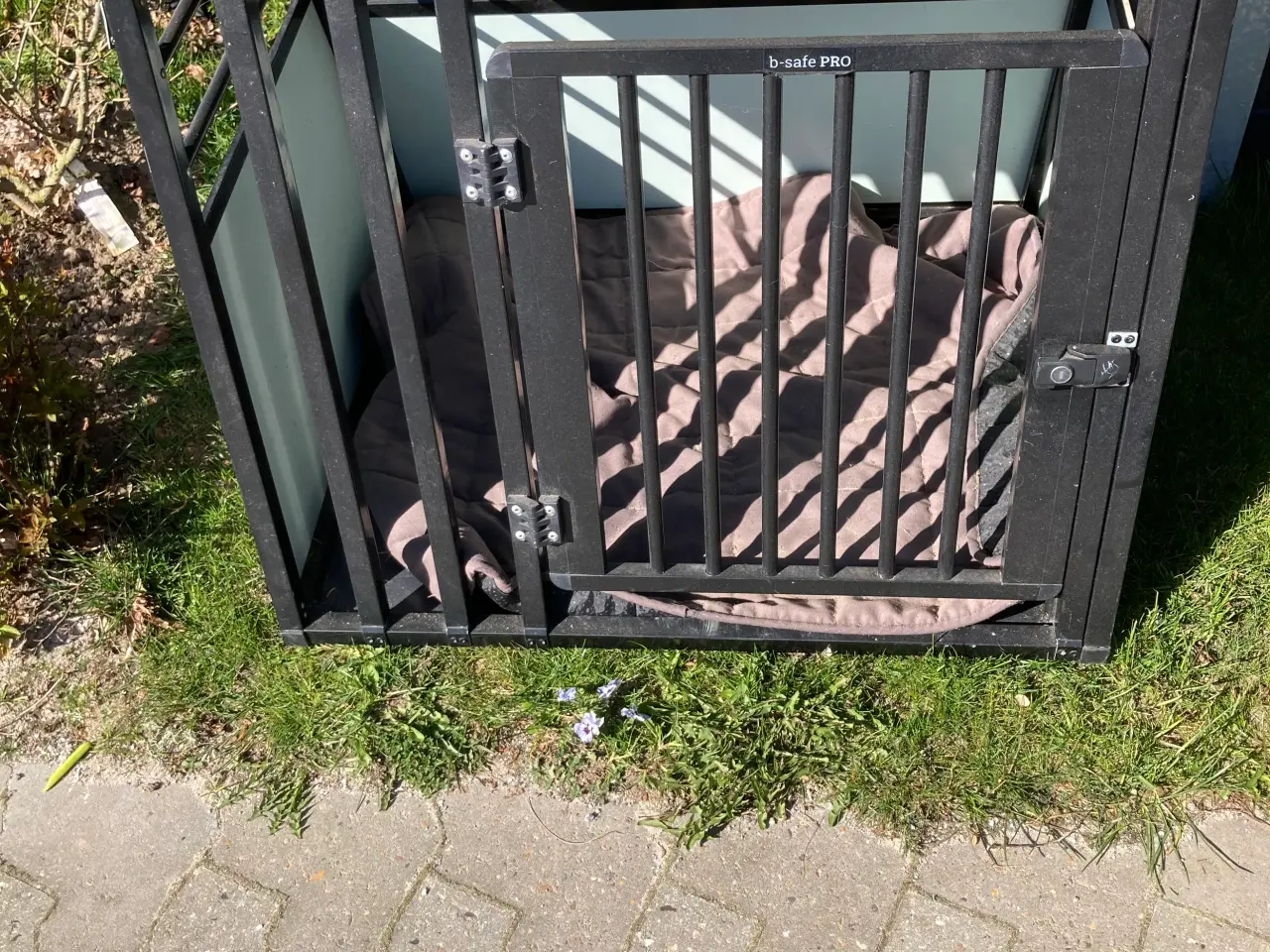 Billede 1 - Hundebur til bil