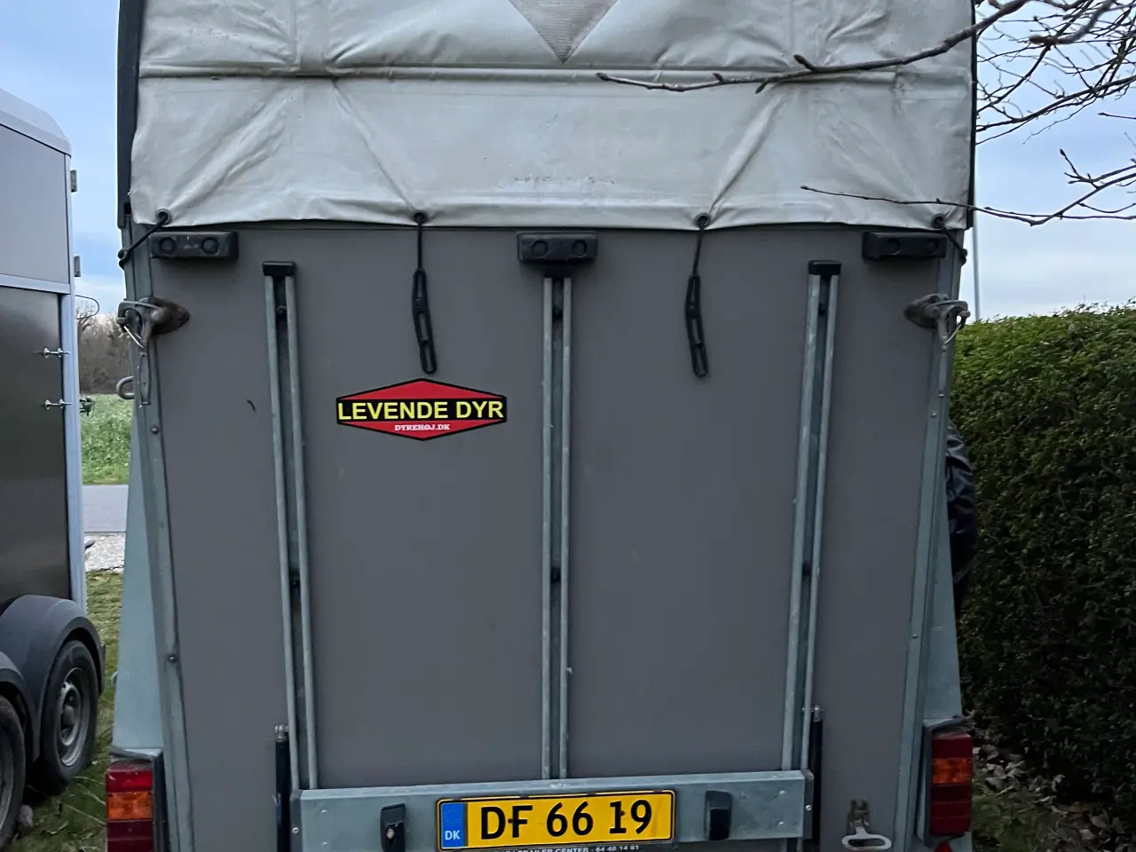 Billede 1 - (Solgt) God Brenderup hestetrailer sælges