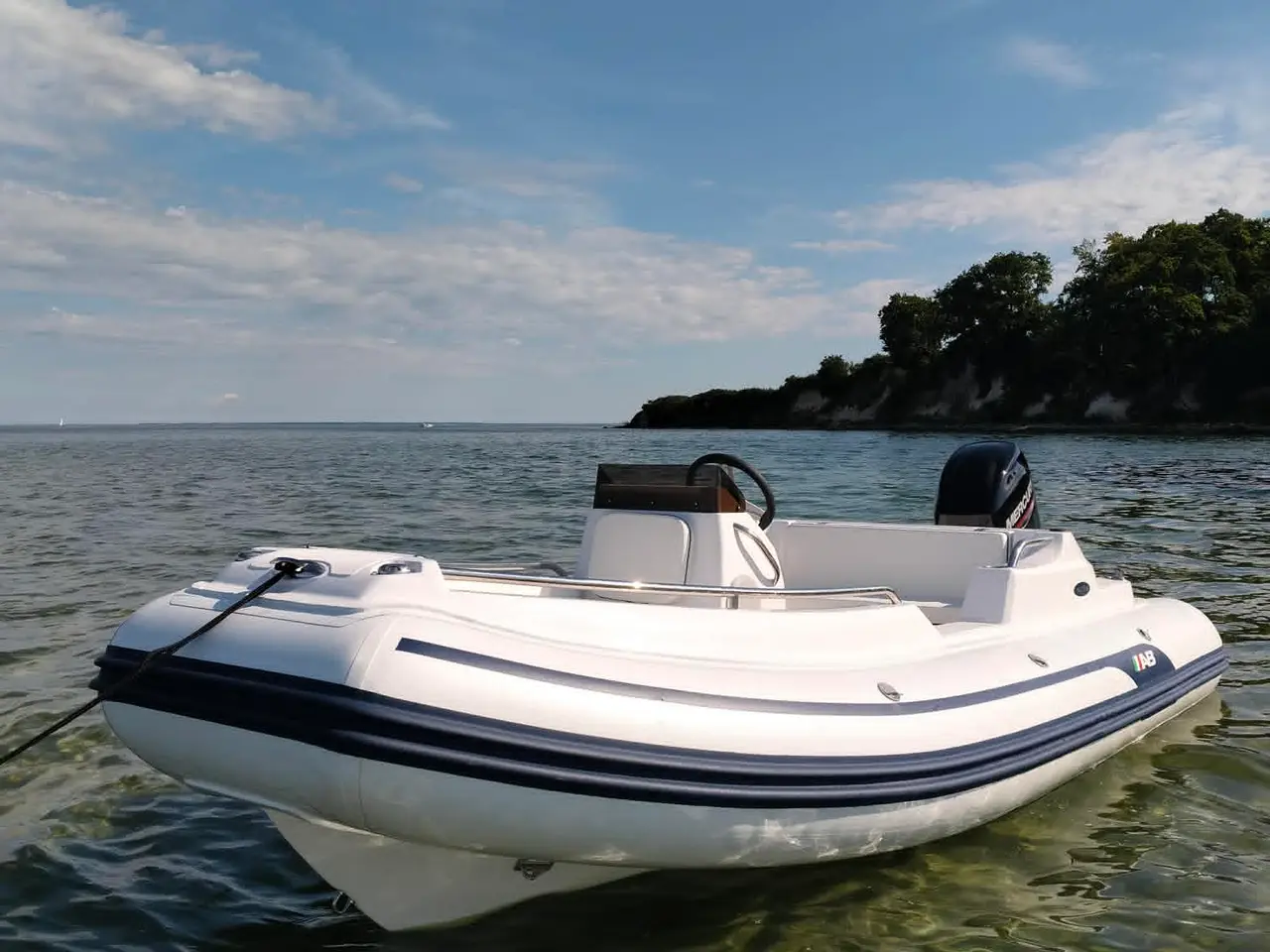 Billede 1 - NAUTILUS DLX 14 m. Mercury 60hk