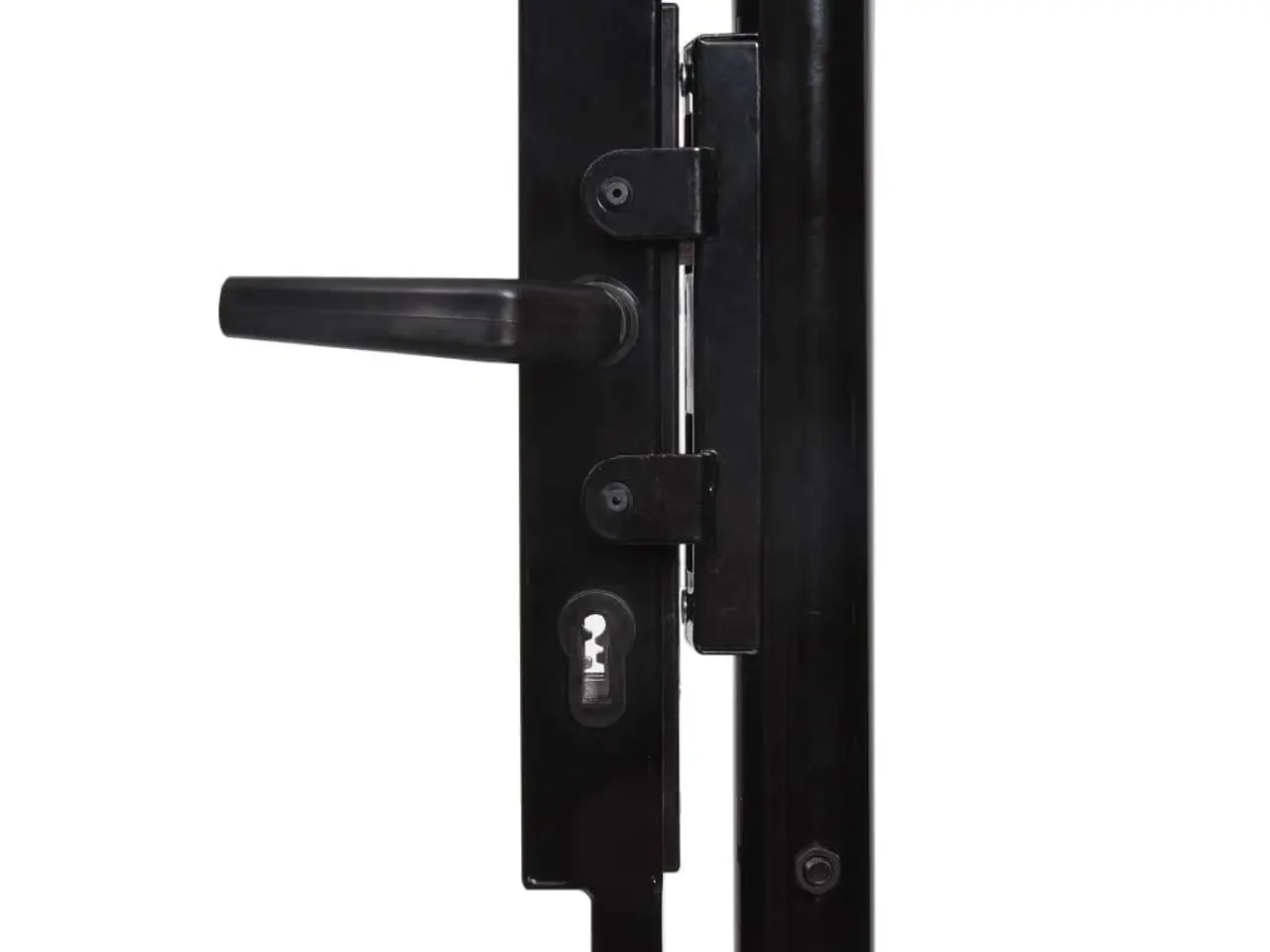Billede 4 - Dobbeltdørs hegnslåge Woerden med spydtop 400 x 224,5 cm - sort