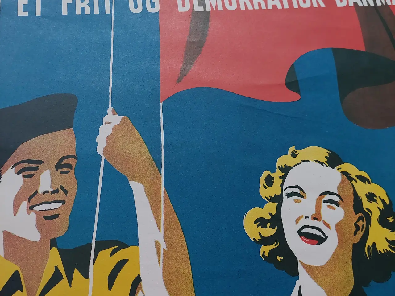 Billede 4 - DSU jubilæumsplakat (48x68) – "Socialismens Fane"
