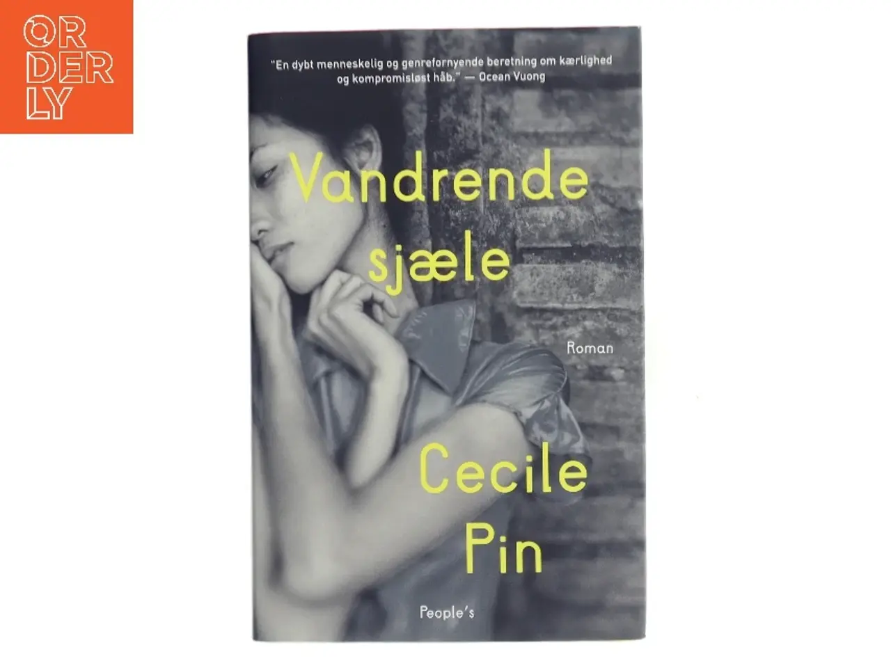 Billede 1 - Vandrende sjæle : roman af Cecile Pin (Bog)