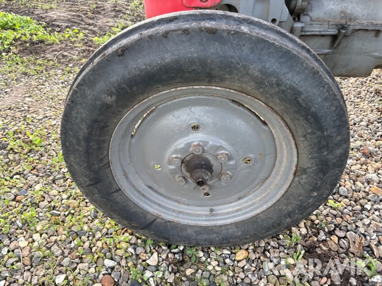 Billede 8 - Veterantraktor Massey Ferguson 65