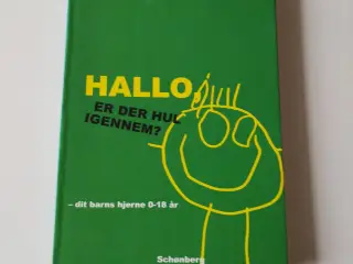 Hallo - er der hul igennem? - dit barns hjerne fra