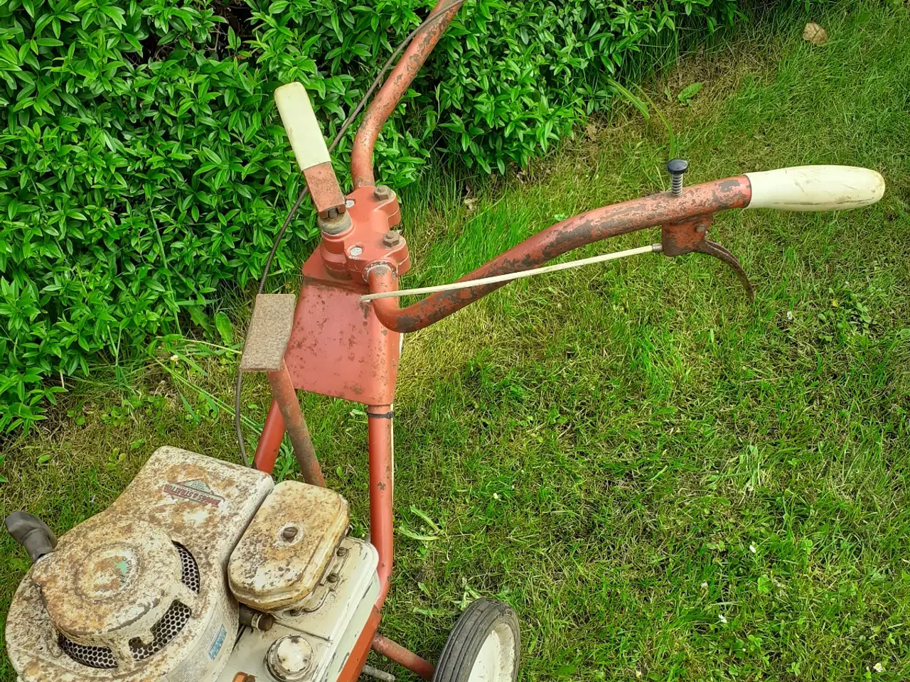 Billede 6 - Mountfield M1 Reto havefræser