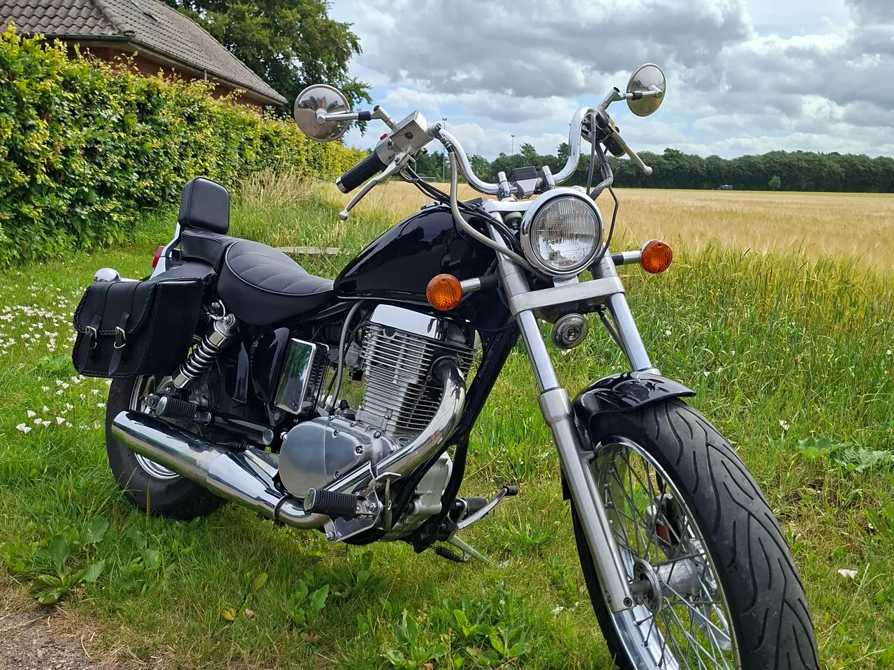 Billede 4 - Suzuki savage 650
