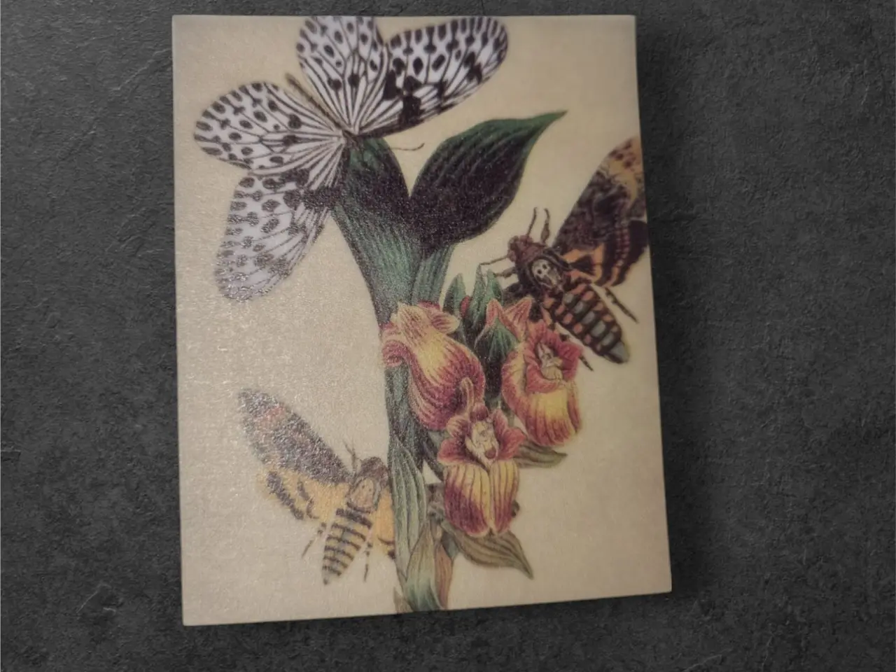 Billede 16 - Annonce 179 - Hobby