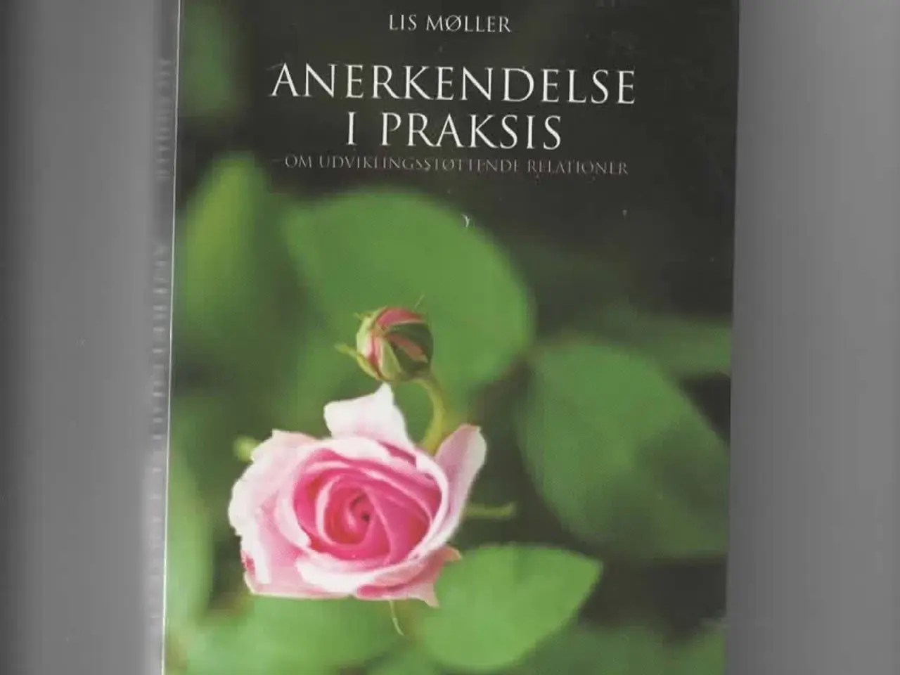 Billede 1 - Anerkendende pædagogik