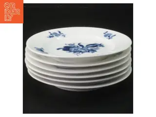Sæt af 6 porcelæn tallerkener, blå blomst (str. 6 stk Ø 14,5 cm) fra Royal Copenhagen