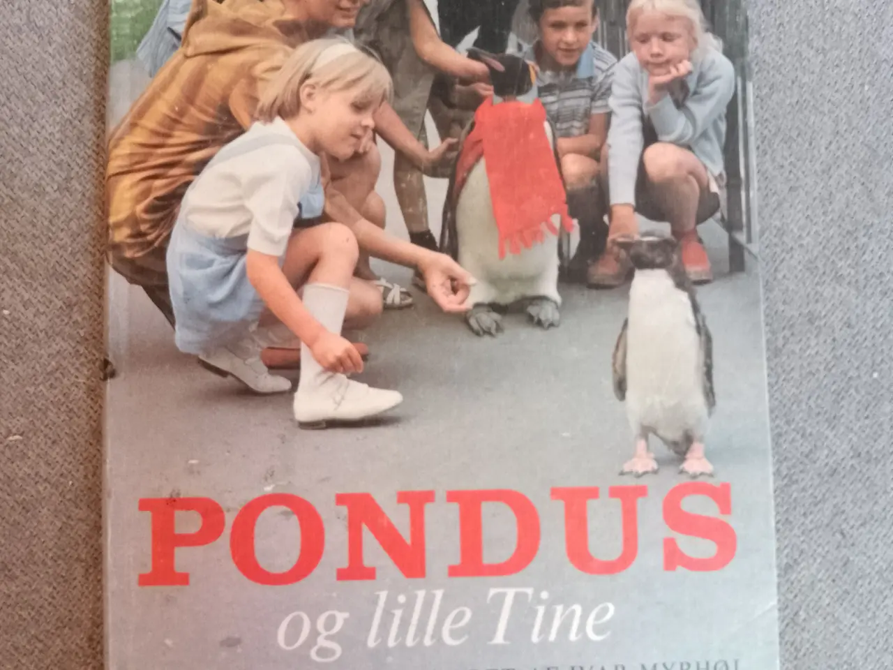 Billede 1 - Pondus bog