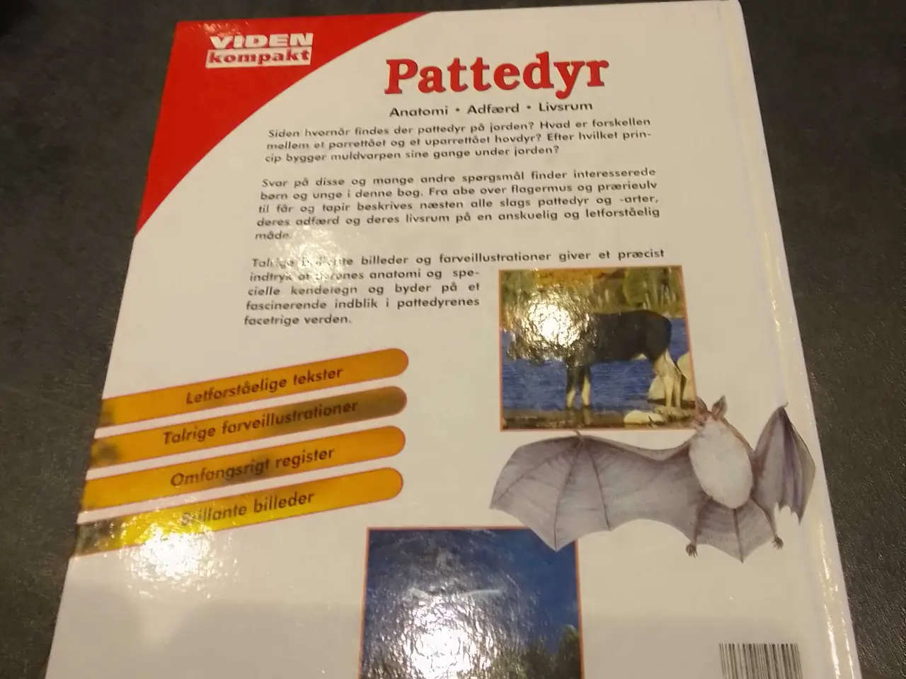 Billede 2 - Viden Om-serien "Pattedyr" fagbog om dyr