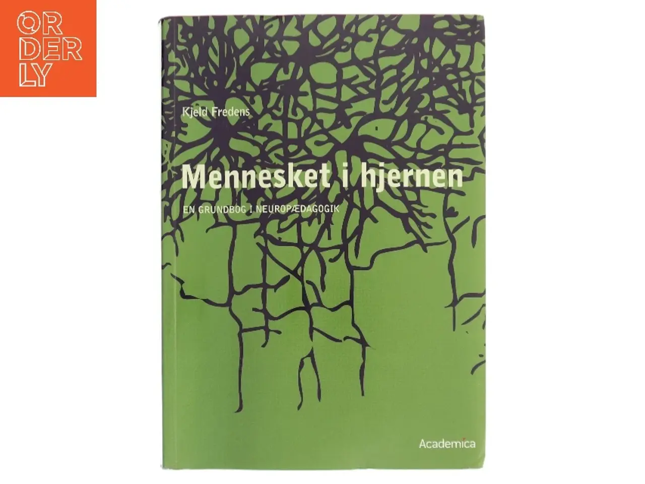 Billede 1 - Mennesket i hjernen : en grundbog i neuropædagogik af Kjeld Fredens (Bog)