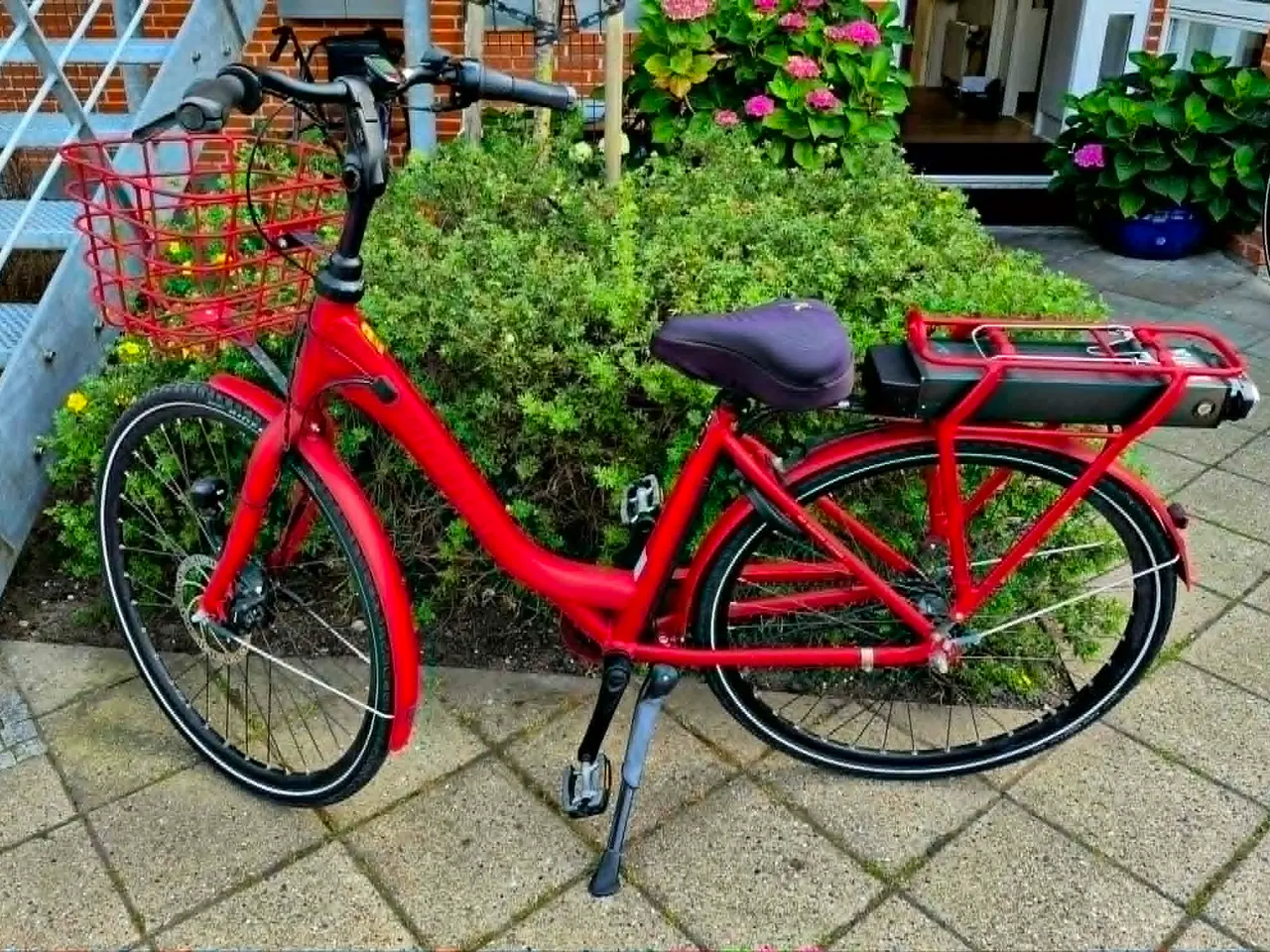 Billede 1 - Winther Red Superb 1