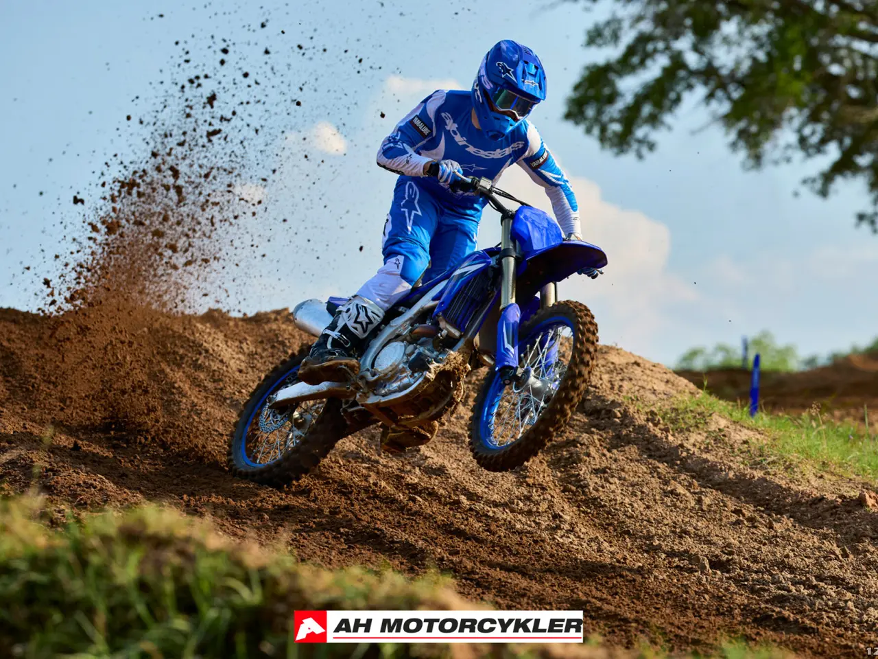 Billede 13 - Yamaha YZ 450 F