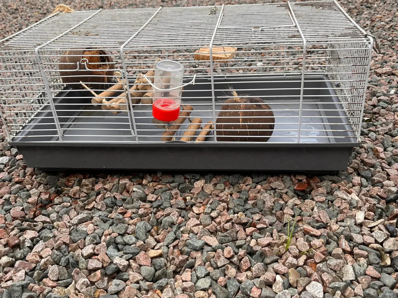 Billede 2 - Hamster bur med tilbehør