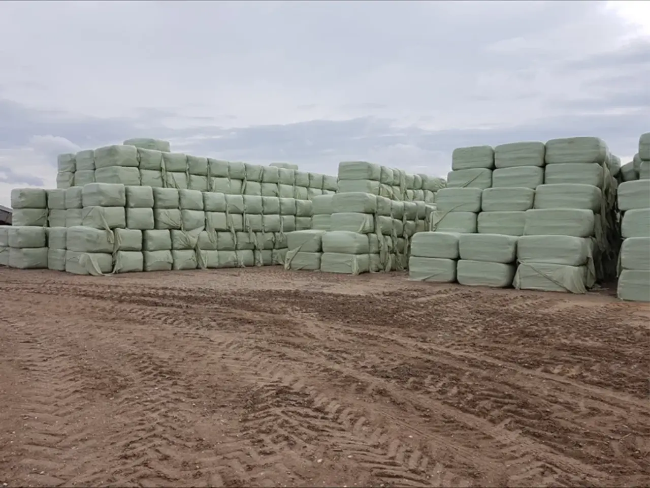 Billede 4 - Wrap - hø - halm