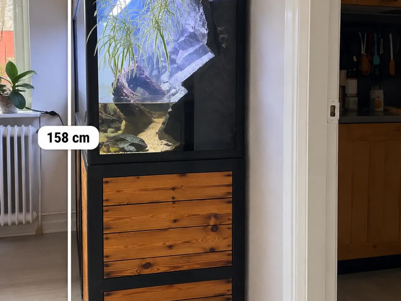 Billede 2 - Stort akvarium med skab og tilbehør – 159,5 x 55 x