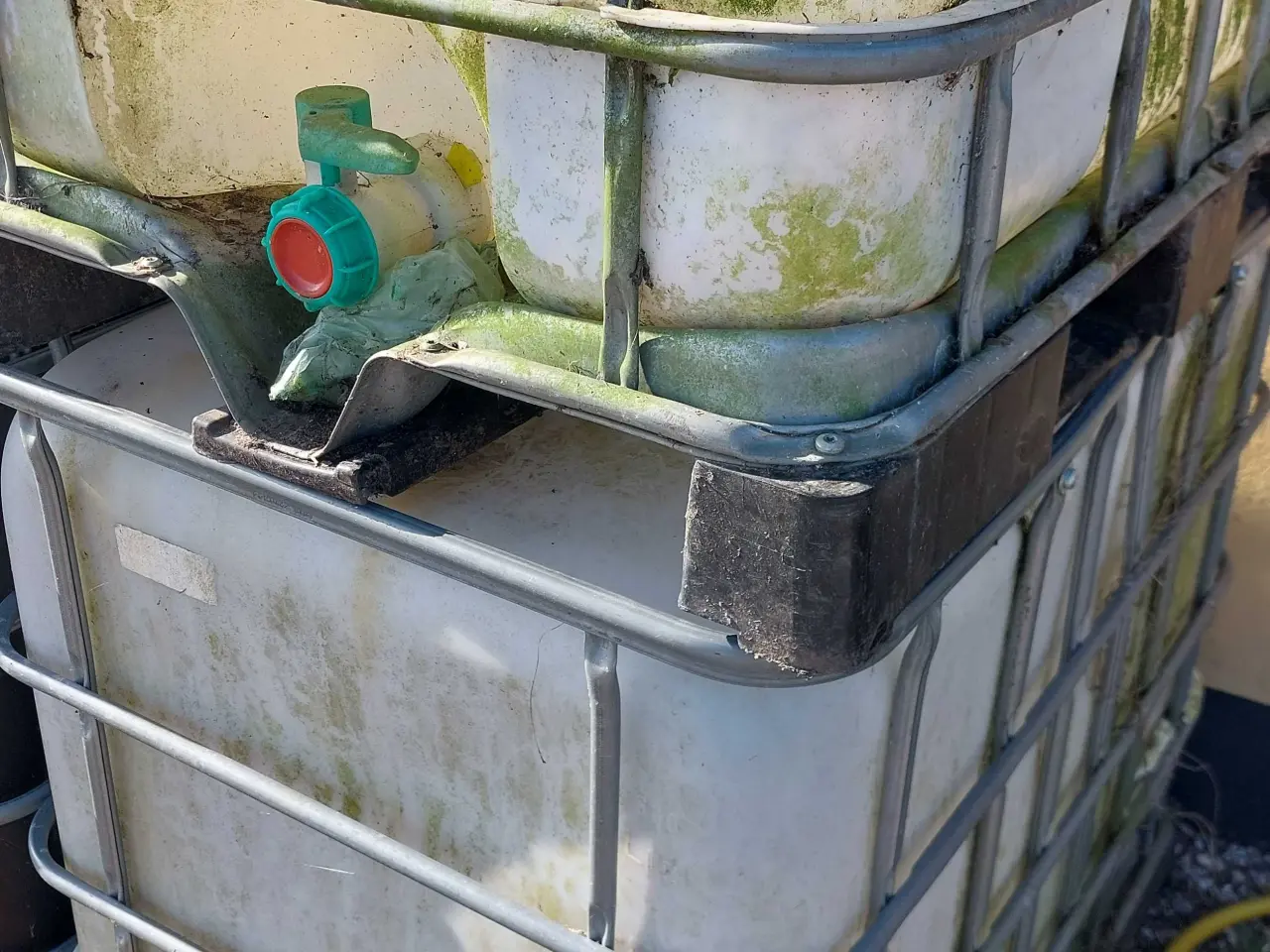 Billede 2 - Palletank 700L