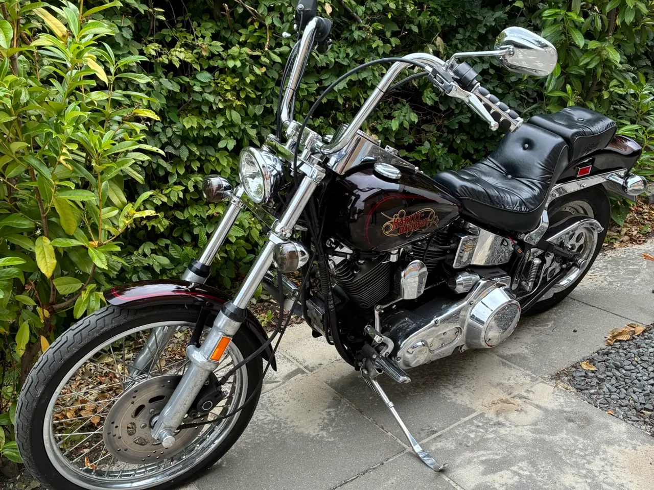 Billede 3 - Harley