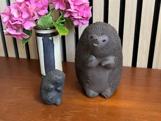 Kähler pindsvin