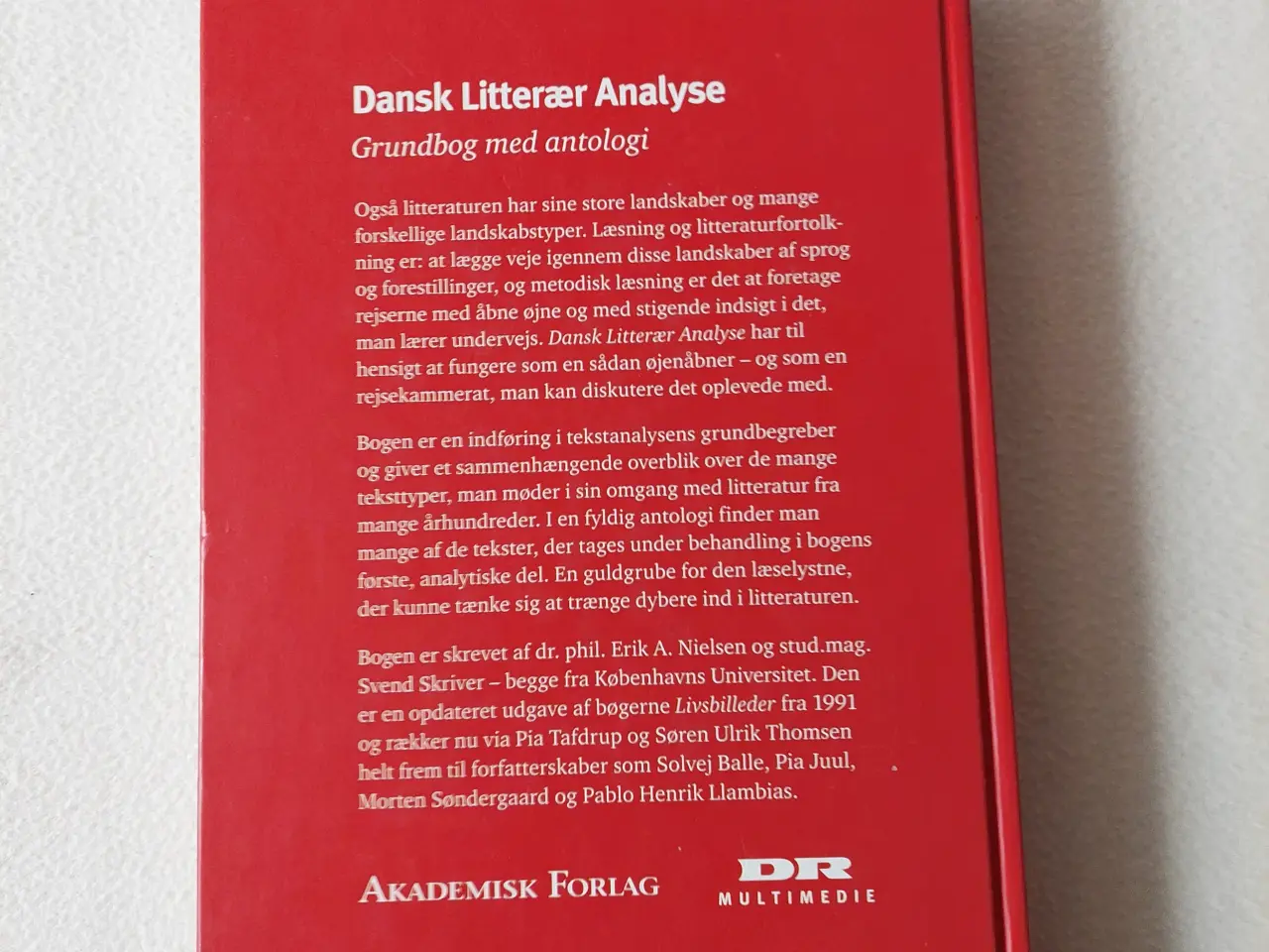 Billede 2 - Dansk Litterær Analyse