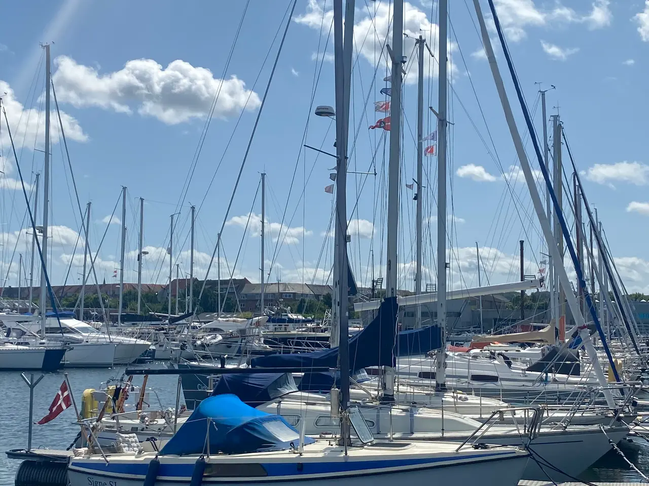 Billede 3 - Båd påhængsmotor og bådplads
