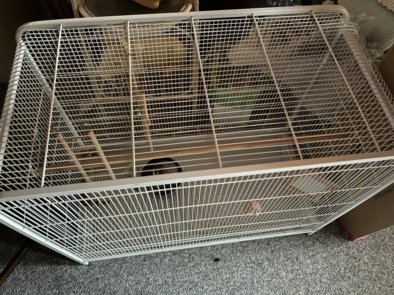 Billede 2 - Stort fuglebur