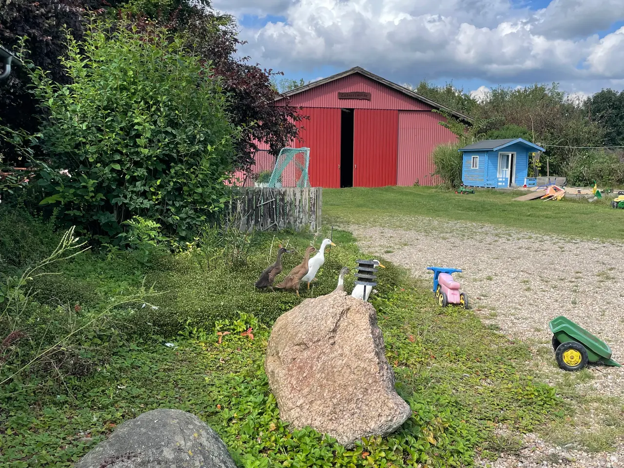 Billede 3 - Løbeænder