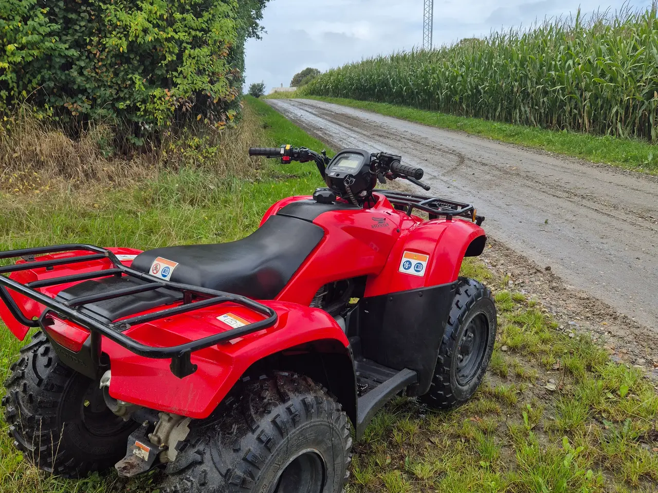 Billede 5 - Honda TRX250 2019