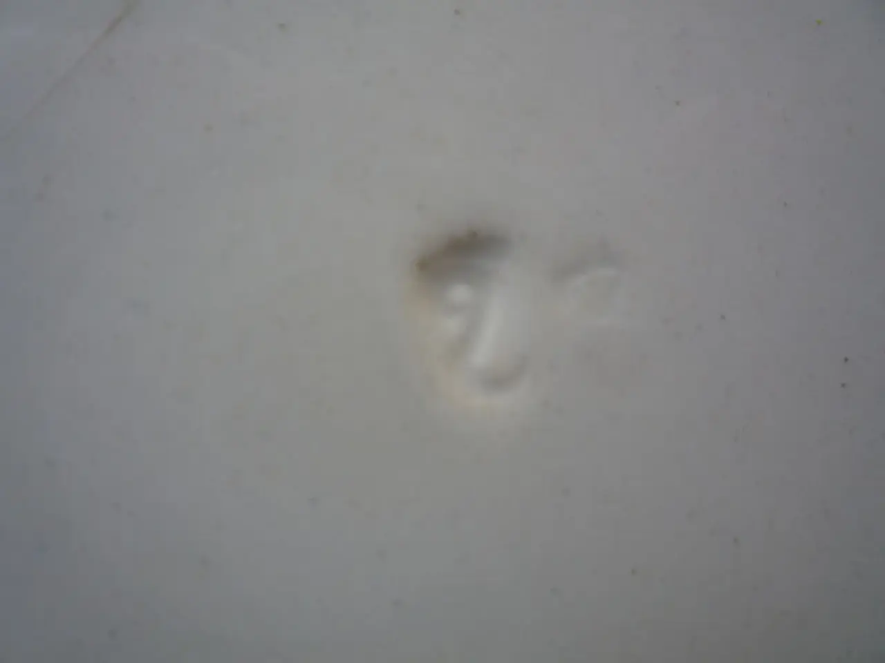 Billede 3 - 100 år gammel platte eller bordskåner