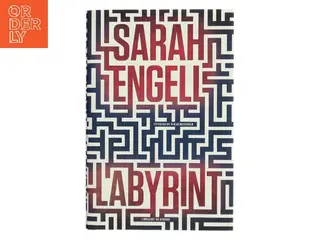 Labyrint : psykologisk spændingsroman af Sarah Engell (Bog)