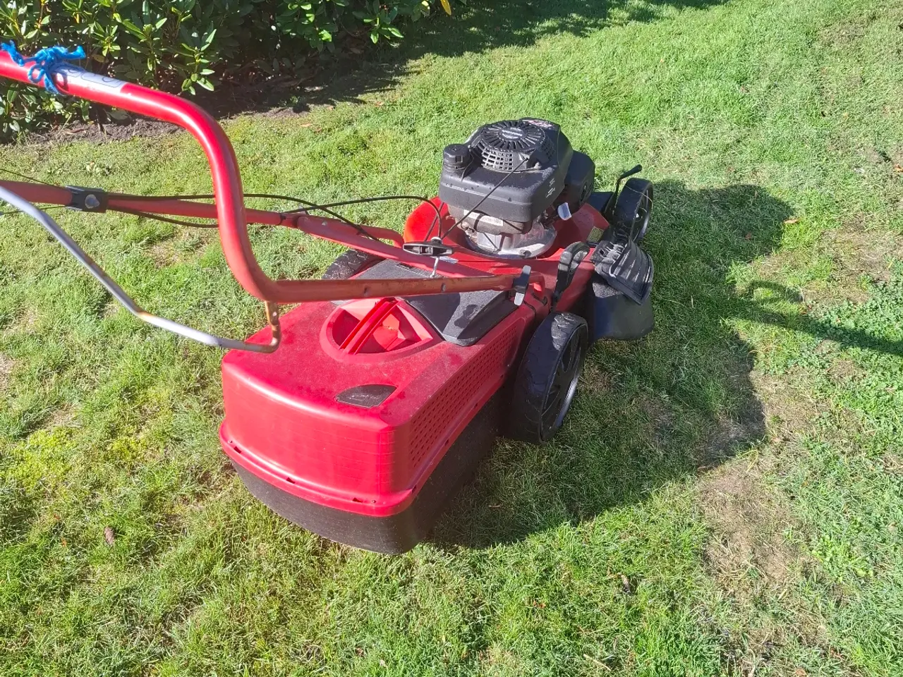 Billede 2 - Alko plæneklipper ,med honda motor