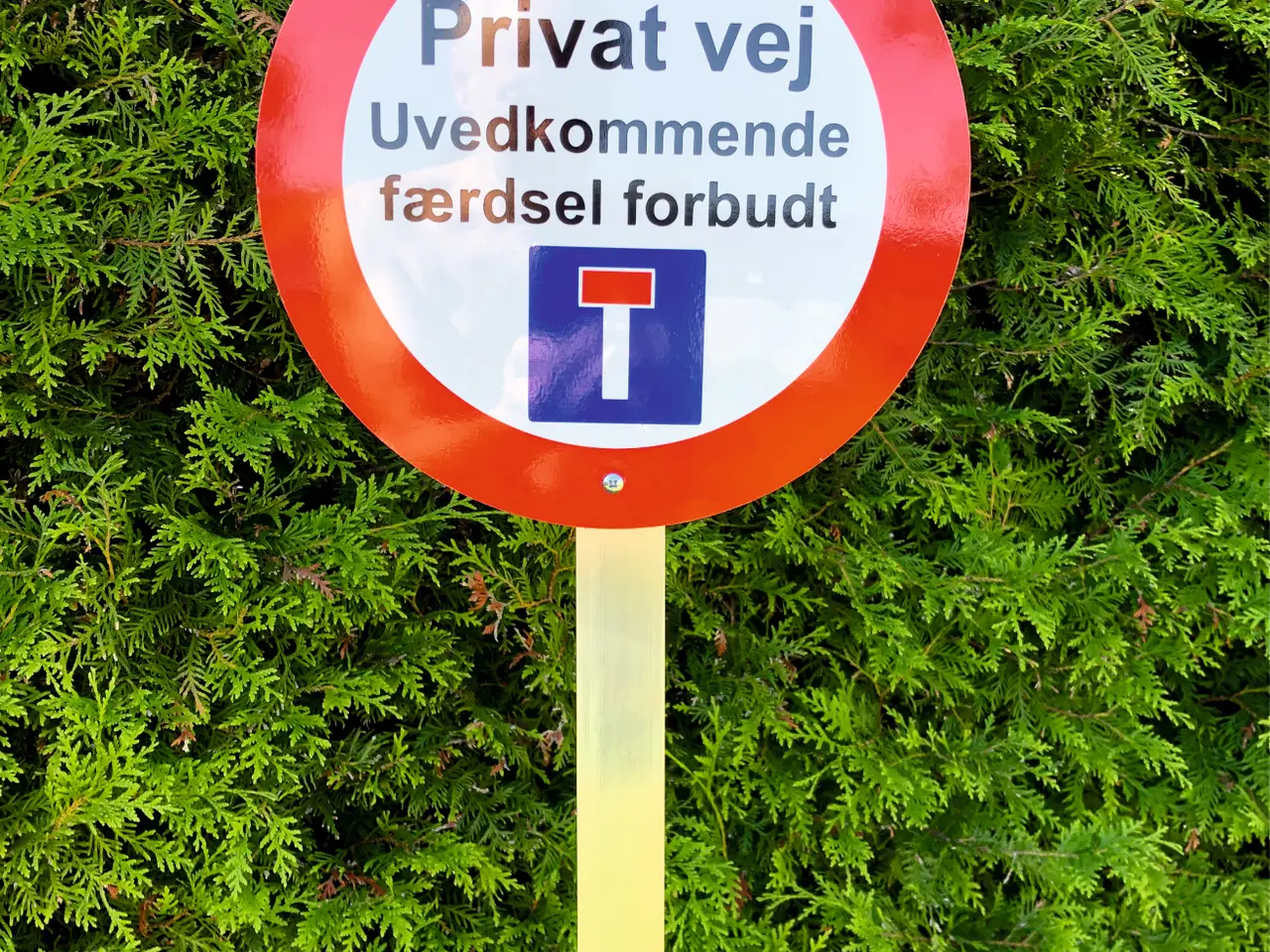 Billede 8 - Nye vejskilte i 2 mm aluminium m/refleks Ø 50 cm