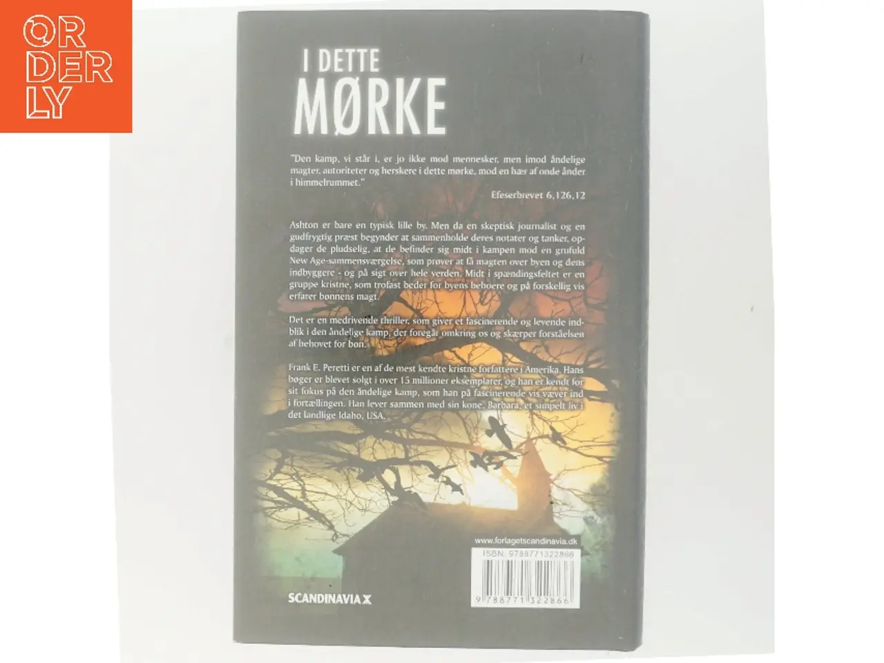 Billede 3 - I dette mørke af Frank E. Peretti (Bog)