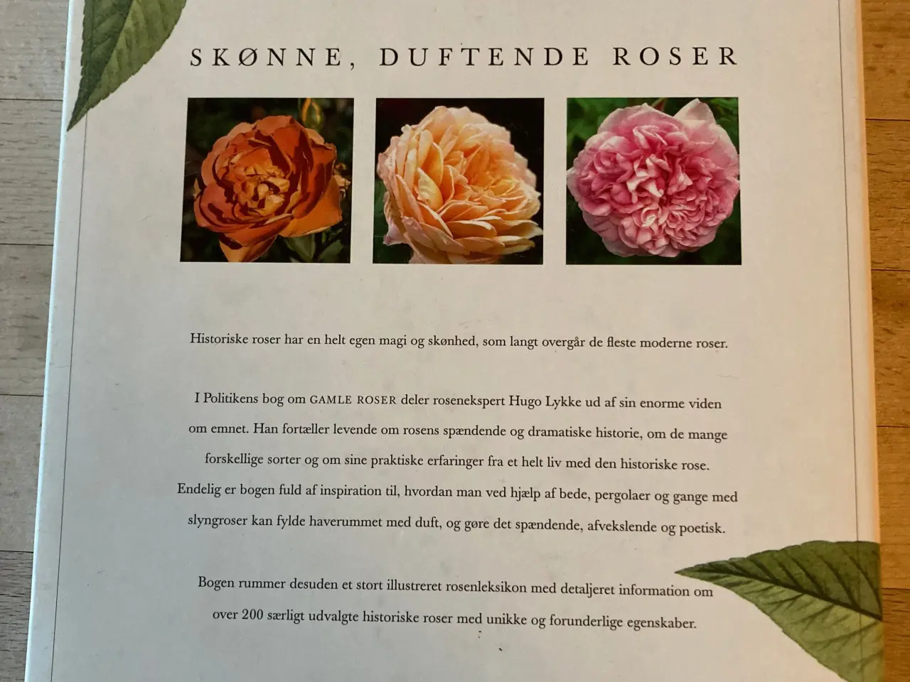Billede 2 - Gamle roser af Hugo Lykke
