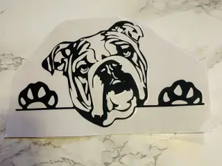 Bulldog klister makater