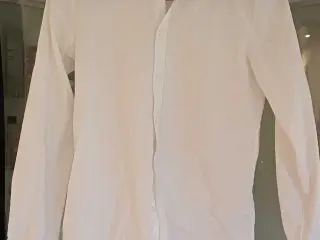 Skjorter