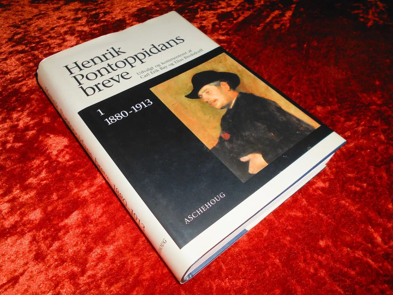 Billede 1 - Henrik Pontoppidans breve - 1880-1913,