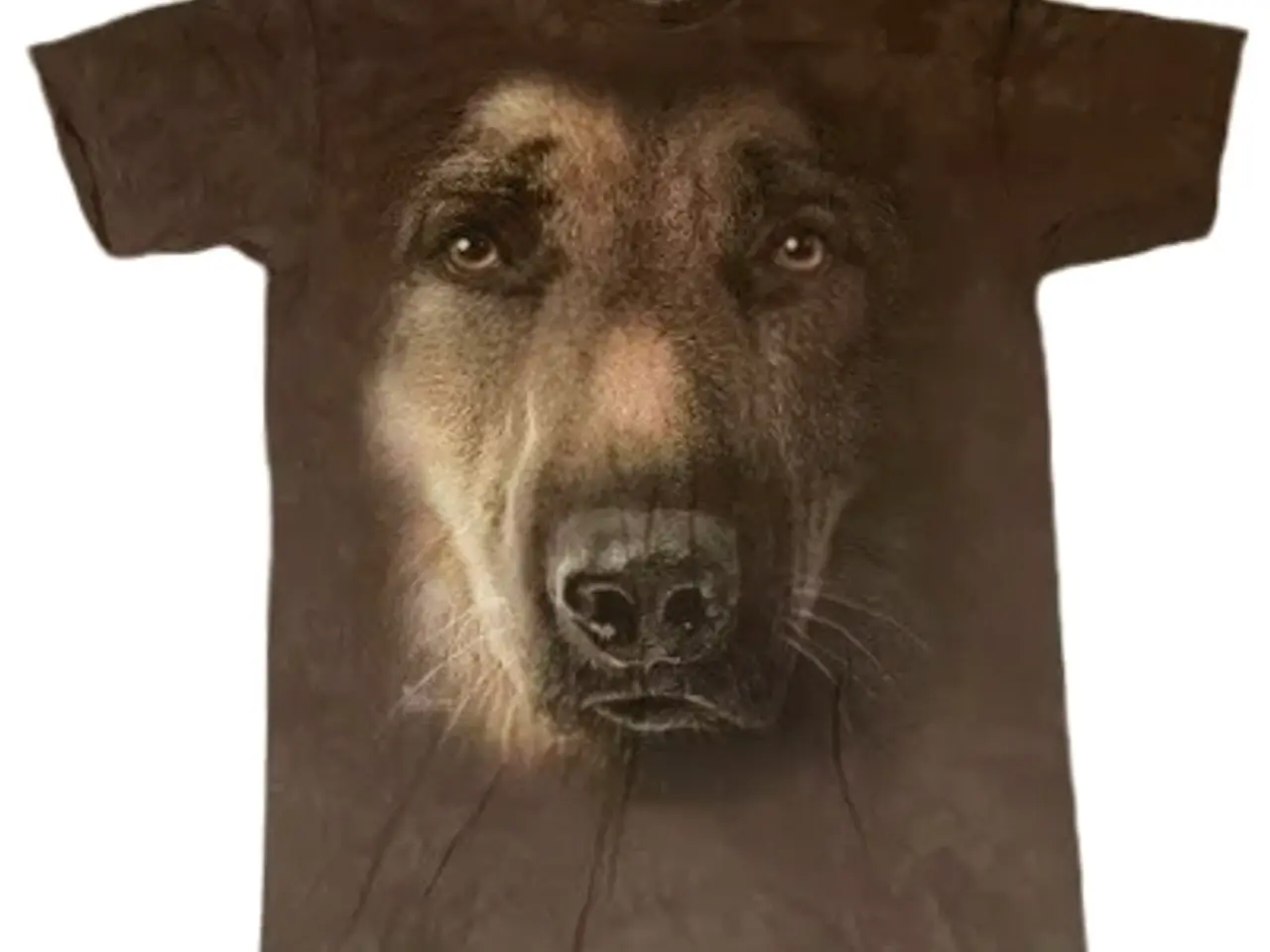 Billede 2 - The Mountain hunde T-shirts i flere str.