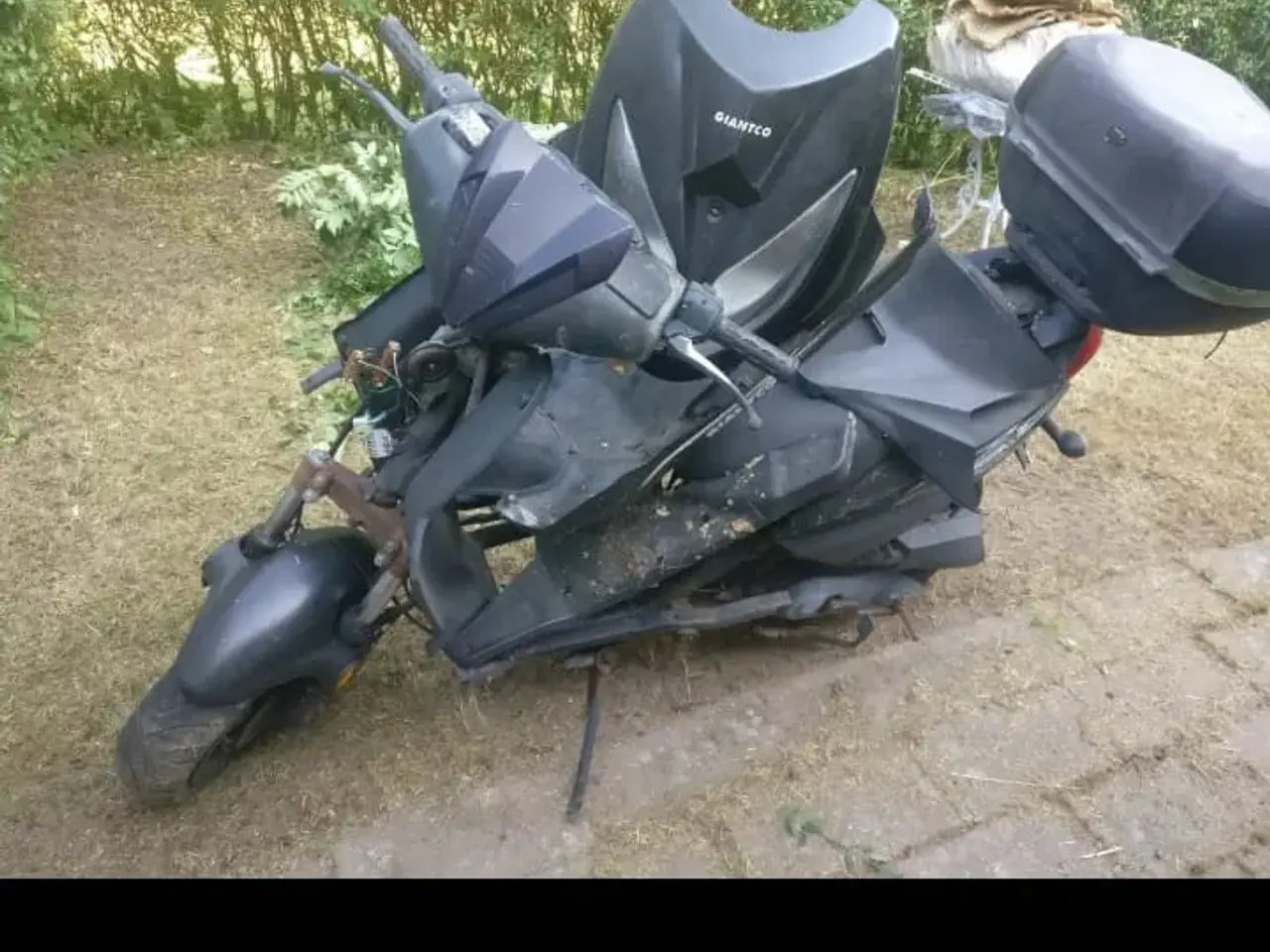 Billede 13 - Deler til Scooter GIANTCO