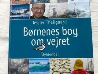 Bog om vejret