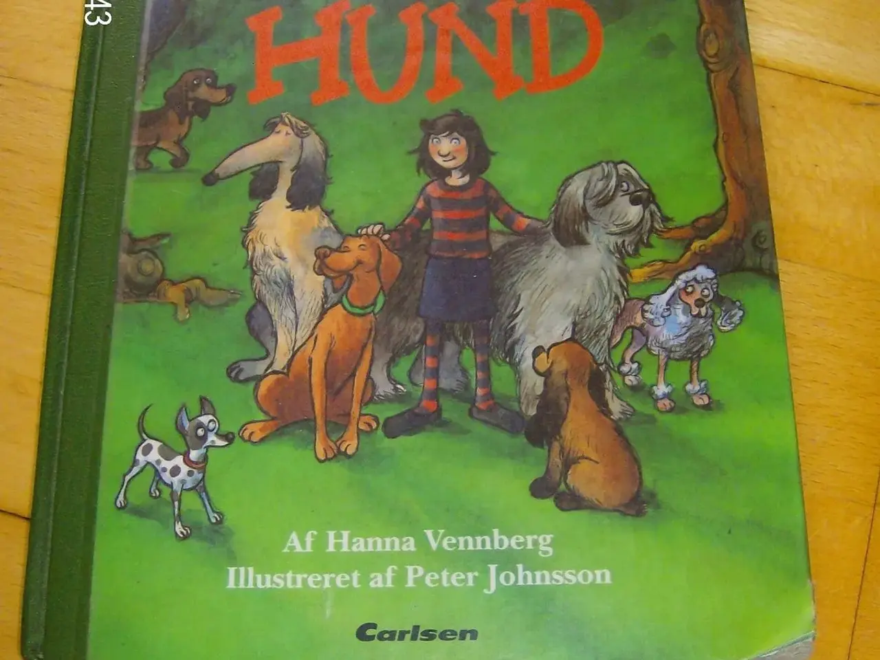 Billede 1 - Derfor vil jeg ikke have hund 